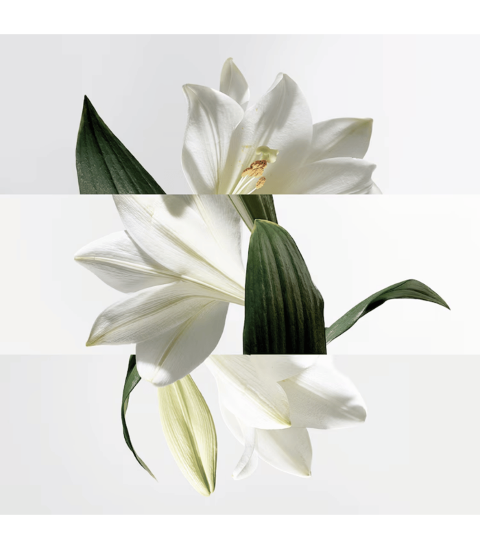UN JARDIN SUR LA LAGUNE - eau de toilette 50 ml