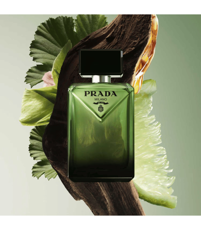 PARADIGME - eau de parfum 50 ml