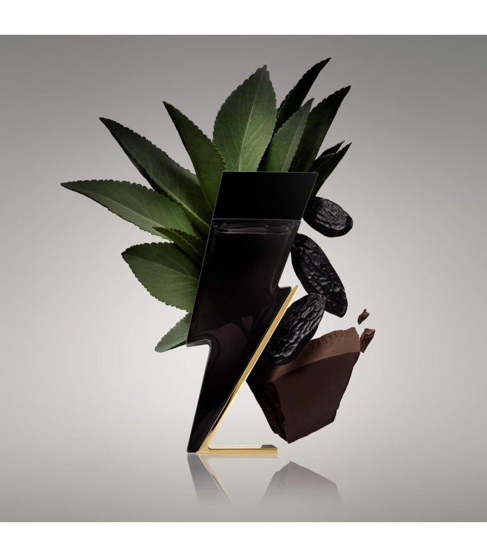BAD BOY - Eau de Toilette 100 ml