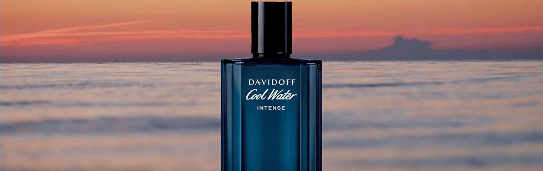 DAVIDOFF Banner