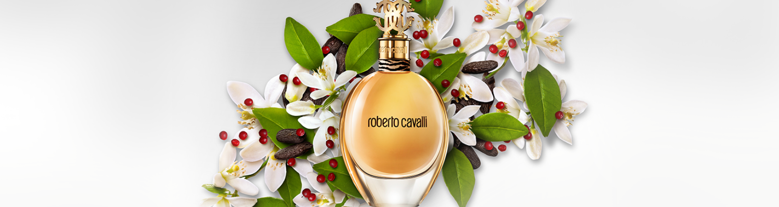 ROBERTO CAVALLI Banner