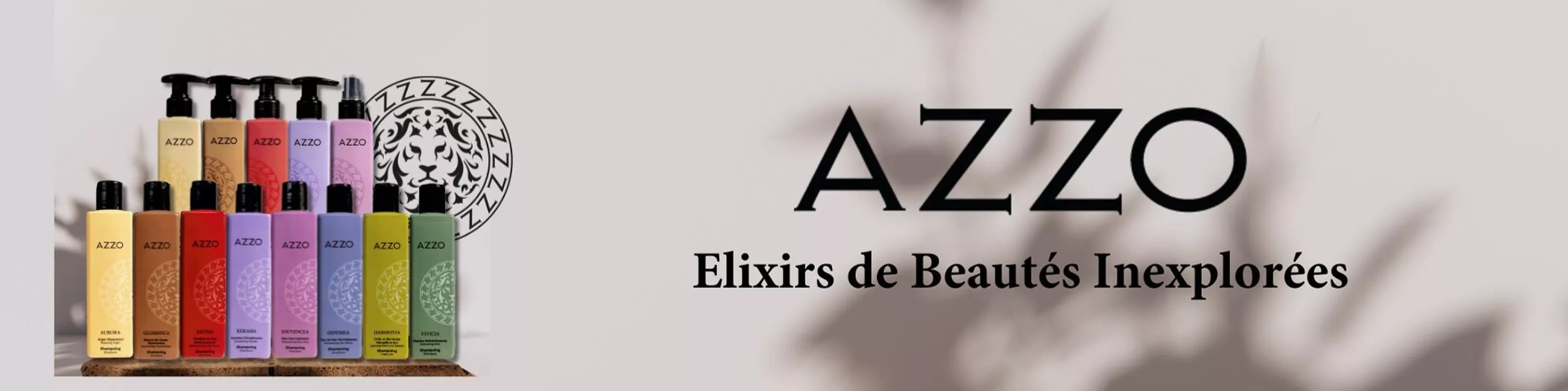 AZZO PROFESSIONNEL Banner