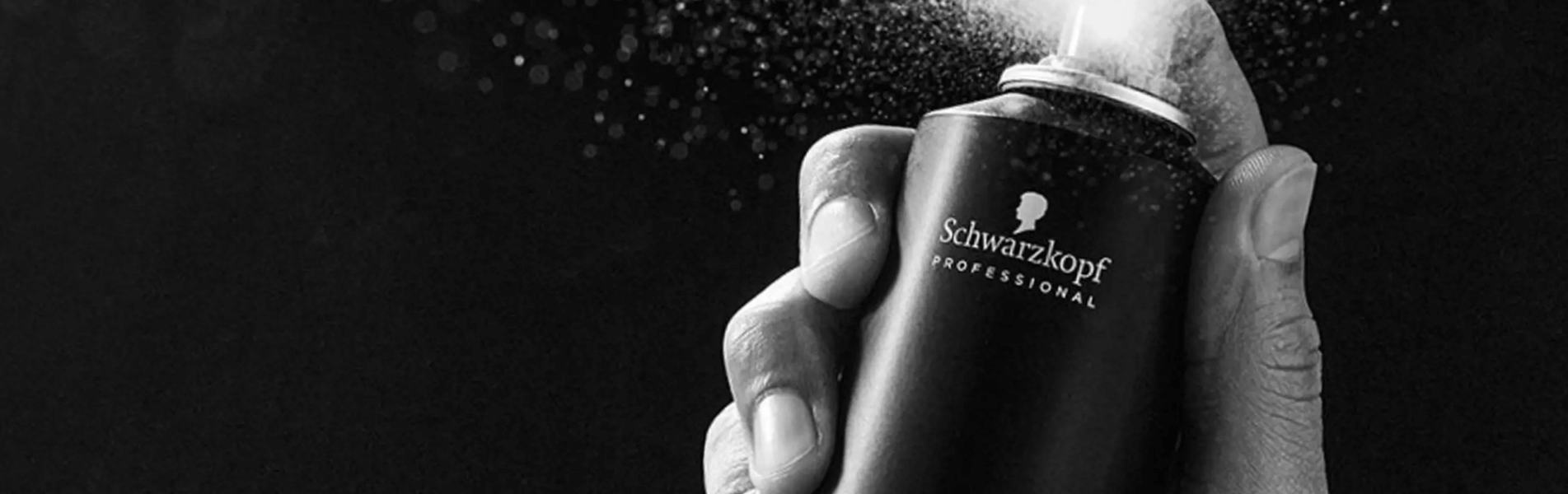 SCHWARZKOPF PROFESSIONAL Banner