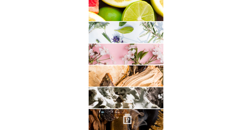 Notes olfactives des parfums femme : comprendre la pyramide pour choisir son parfum.