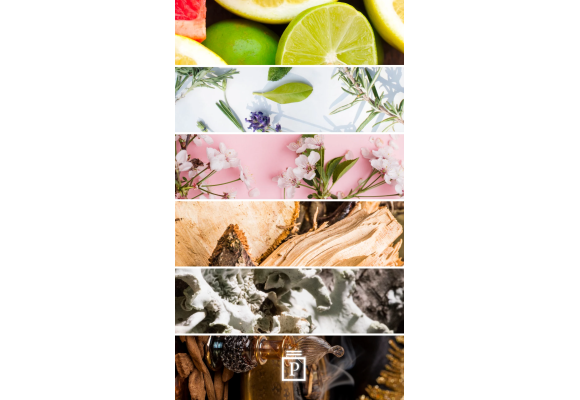 Notes olfactives des parfums femme : comprendre la pyramide pour choisir son parfum.