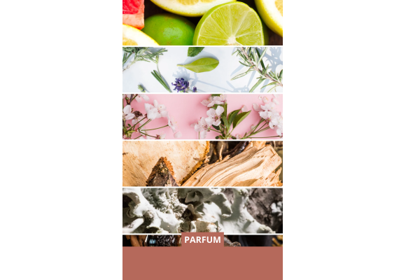 Notes olfactives des parfums femme : comprendre la pyramide pour choisir son parfum.